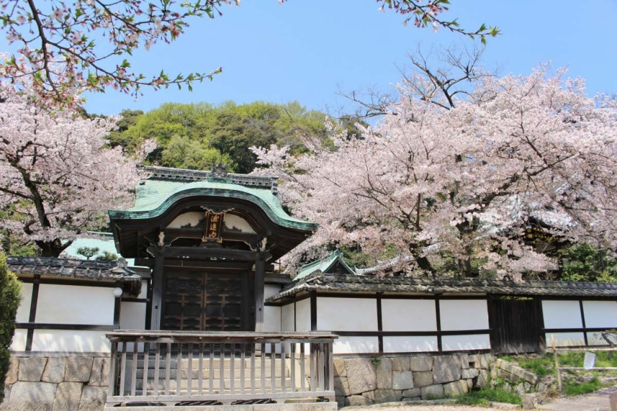 🏯 정법사 (쇼보지) 이미지 7